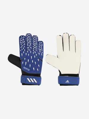 Перчатки вратарские детские PRED GL TRN J, Синий, размер 4 adidas. Цвет: синий