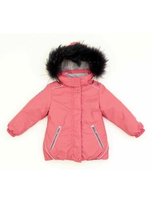 Куртка для девочки со съемной пуховой подстежкой Arctiline. Цвет: розовый
