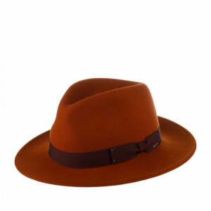 Шляпа, оранжевый Bailey. Цвет: оранжевый