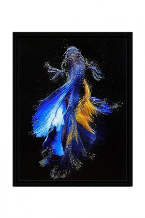 Картина-репродукция Рыбка 2 Декарт. Цвет: черный, голубой, желтый