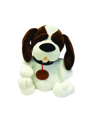 Мягкая Игрушка Собака Ушастик, 29 см MAXITOYS. Цвет: темно-коричневый, белый