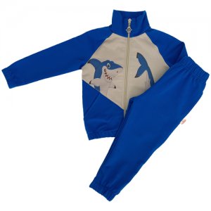 Комплект одежды, олимпийка и брюки, спортивный стиль, размер 104, синий Маленький принц. Цвет: синий