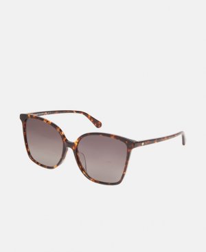Солнцезащитные очки , темно коричневый Kate Spade