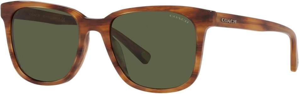 Солнцезащитные очки 0HC8313U COACH, цвет Amber Horn/Dark Green Solid Coach