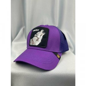Бейсболка бини Goorin Brothers кепки, размер one size, фиолетовый BROS.. Цвет: фиолетовый