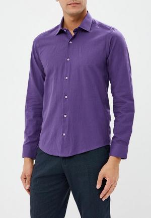 Рубашка Biriz MP002XM23TD4. Цвет: фиолетовый