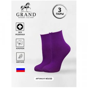 Носки , 3 пары, размер 25-27(38-41), фиолетовый ГРАНД. Цвет: сливовый/фиолетовый