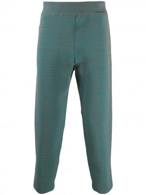 Трикотажные спортивные брюки Sunnei. Цвет: синий