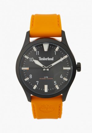Часы Timberland TDWGM0029801. Цвет: оранжевый