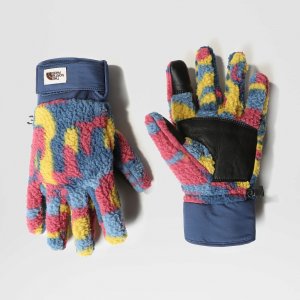 Перчатки Cragmont Gloves The North Face. Цвет: разноцветный