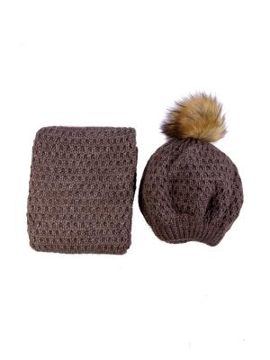 Комплект: шапка + шарф Bijoux Land. Цвет: коричневый