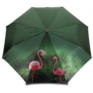 Зонт, зеленый PLANET. Цвет: зеленый