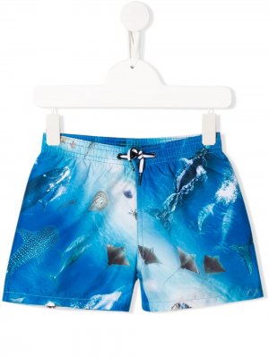 Плавки-шорты Above Ocean с кулиской и принтом Molo Kids. Цвет: синий