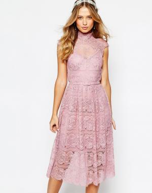 Кружевное платье с цветочным узором Wedding Body Frock. Цвет: розовый
