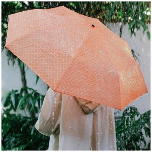 Зонт , оранжевый Doiy