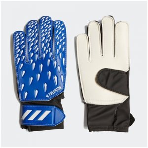 Перчатки вратарские детские Adidas Predator Training GK3546. Цвет: синий