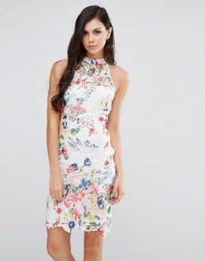 Платье с высокой горловиной из цветочного кружева Lipstick Boutique. Цвет: мульти