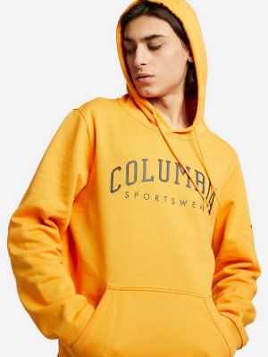 Джемпер мужской CSC Basic Logo II Hoodie, Оранжевый, размер 56 Columbia. Цвет: оранжевый