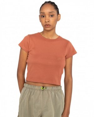 Женская футболка Yarnhill Element. Цвет: copper brown