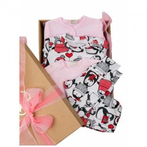 Комплект одежды , размер 24 (74-80), красный, розовый lucky child. Цвет: красный/розовый