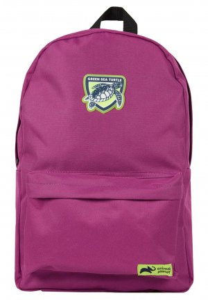 Рюкзак , фиолетовый DeFacto