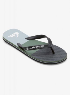 Мужские сланцы Molokai Stripe QUIKSILVER. Цвет: black/grey/green