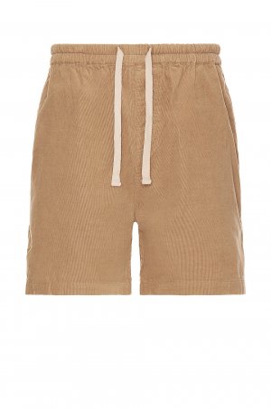Шорты FRAME Spring Cord Shorts, цвет Dark Beige