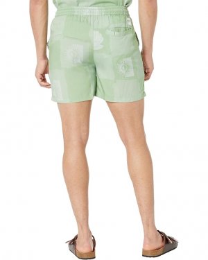 Шорты NATIVE YOUTH Umbra Shorts, зеленый