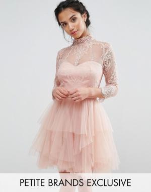 Кружевное платье мини для выпускного с ярусной юбкой Chi London Pe Petite. Цвет: розовый