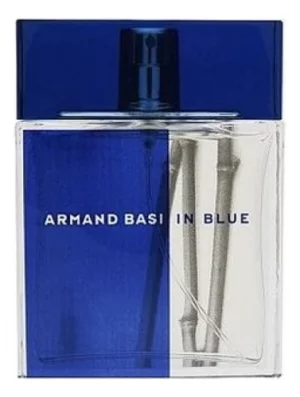 In Blue pour homme: туалетная вода 100мл уценка Armand Basi
