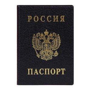 Обложка для паспорта 2203.В-107, черный DPSkanc. Цвет: черный