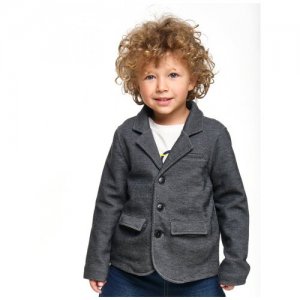 Пиджак , модель 7003, цвет темно-серый, размер 98 Mini Maxi. Цвет: серый