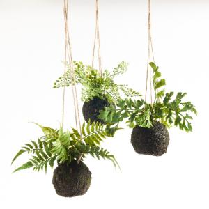 Комплект из 3 искусственных растений Greeland La Redoute Interieurs. Цвет: зеленый