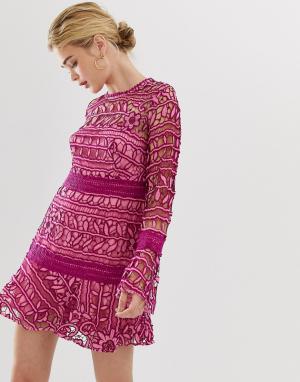 Кружевное платье мини Caprice-Розовый Talulah