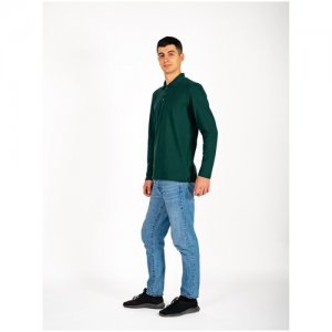 Рубашка-поло мужская длинный рукав РП102ТЗ 52-54 Roksy. Цвет: зеленый