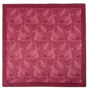 Карманный платок цвет Бордовый GREG