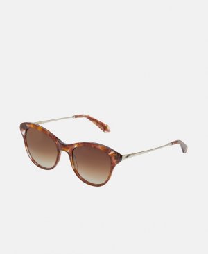 Солнцезащитные очки, коричневый Zac Posen