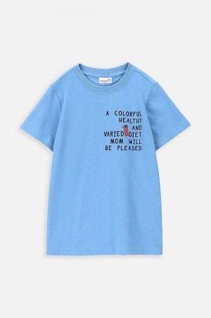 Хлопковая футболка для детей , синий Coccodrillo