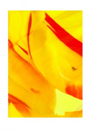 Комплект штор ТОМДОМ. Цвет: желтый