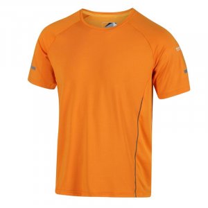 Мужская прогулочная рубашка с коротким рукавом Highton Pro - оранжевая REGATTA, цвет orange Regatta