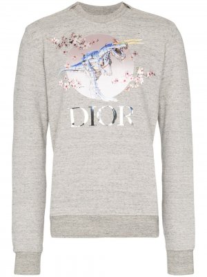 Толстовка Sorayama с принтом Dior Homme