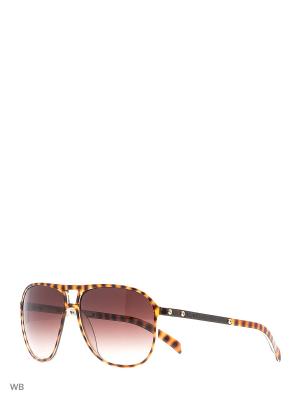 Солнцезащитные очки EX 773 02 EXTE. Цвет: коричневый