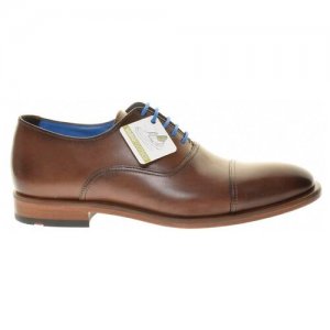 Туфли (Rob) мужские демисезонные, размер 43, цвет коричневый, артикул 12-081-02 Lloyd. Цвет: коричневый
