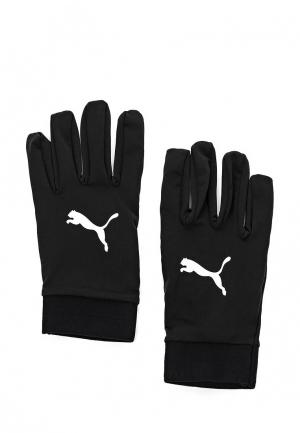 Перчатки футбольные Puma Field Player Glove. Цвет: черный