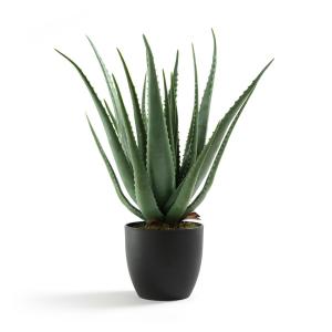 Растение искусственное алоэ-вера, В67 см, Canary AM.PM.. Цвет: зеленый
