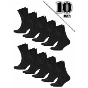 Носки , 10 пар, размер 40-44, черный BG. Цвет: черный
