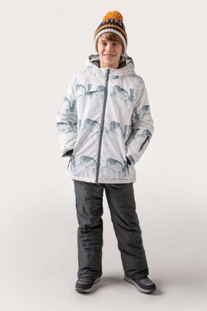 Детская лыжная куртка , мультиколор Coccodrillo