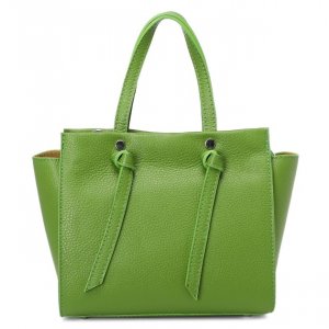 Дорожные и спортивные сумки Diva`s Bag. Цвет: светло-зеленый