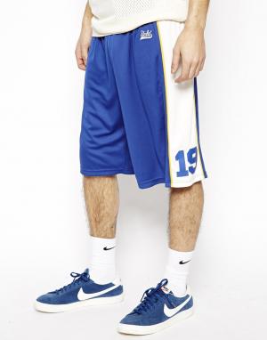Баскетбольные шорты UCLA. Цвет: синий