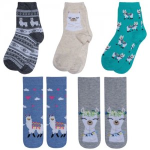 Комплект из 5 пар детских носков (Орудьевский трикотаж) микс 1, размер 12-14 RuSocks. Цвет: мультиколор